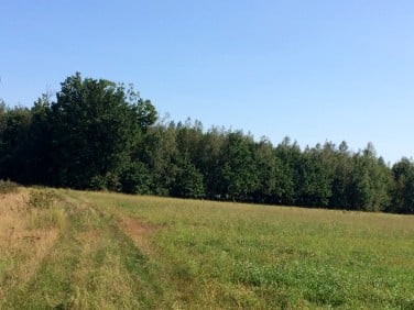 Działka rolna Wyśmierzyce