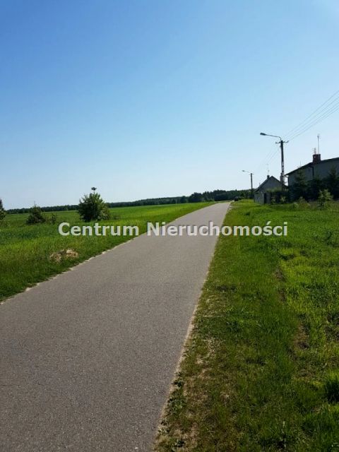 Zdjęcie 3