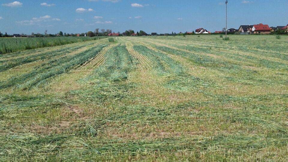 Działka budowlana Siekierki Wielkie sprzedam