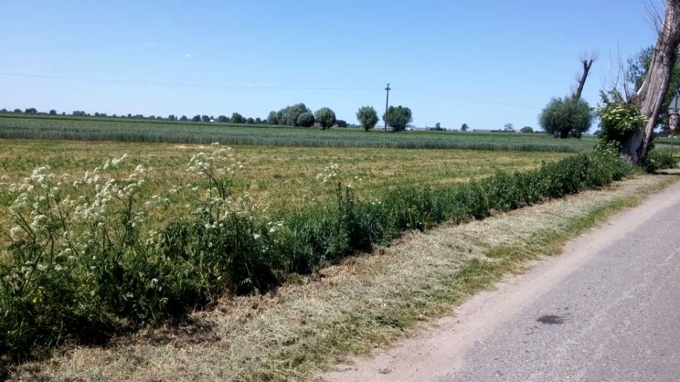 Działka budowlana Siekierki Wielkie sprzedam