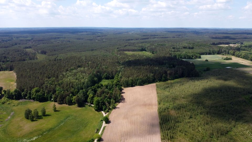 Działka Piława