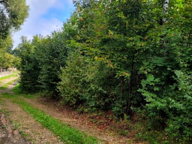 Działka budowlana Gorzków Stary