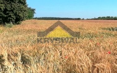 Działka inwestycyjna Skwierzyna