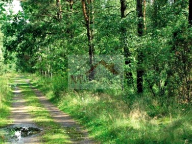 Działka budowlana Rajszew