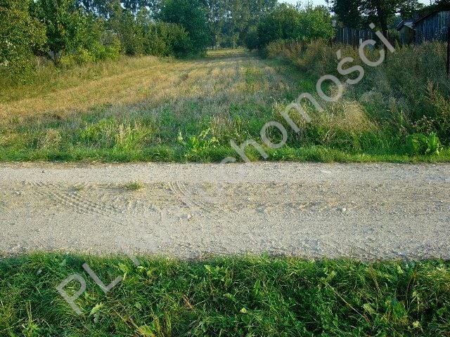 Zdjęcie 3