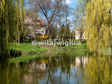 Lokal Wrocław