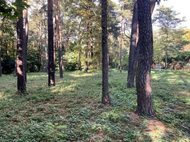 Działka budowlana Konstancin-Jeziorna
