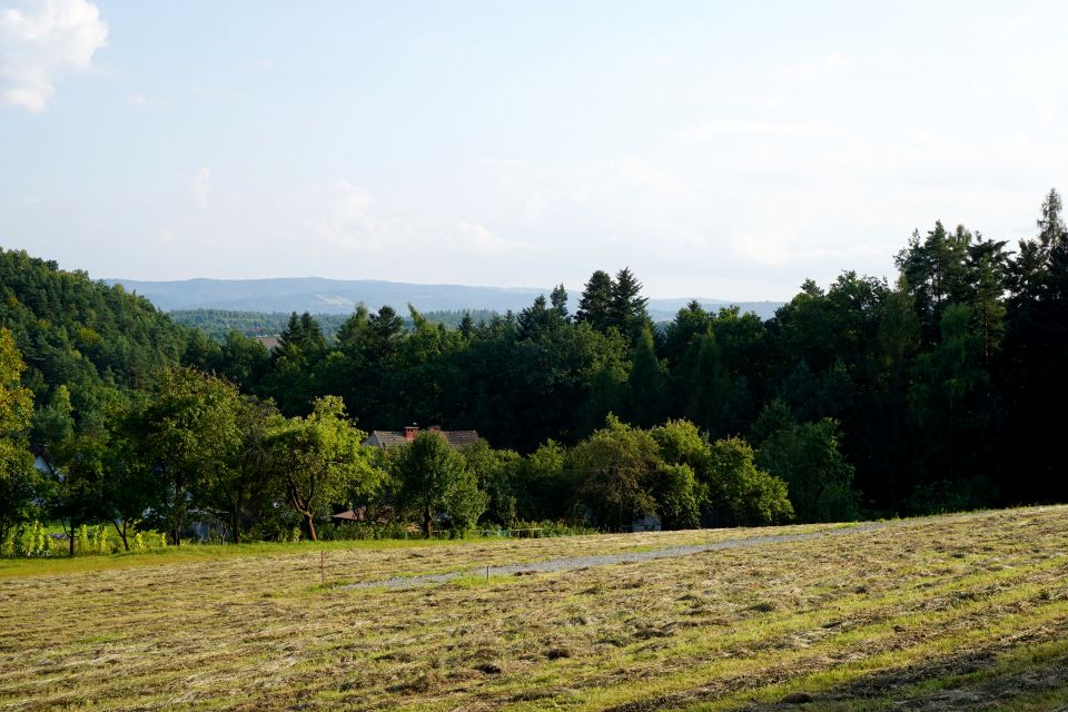Działka budowlano-rolna Podchybie