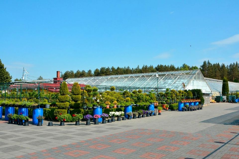 Lokal Lębork