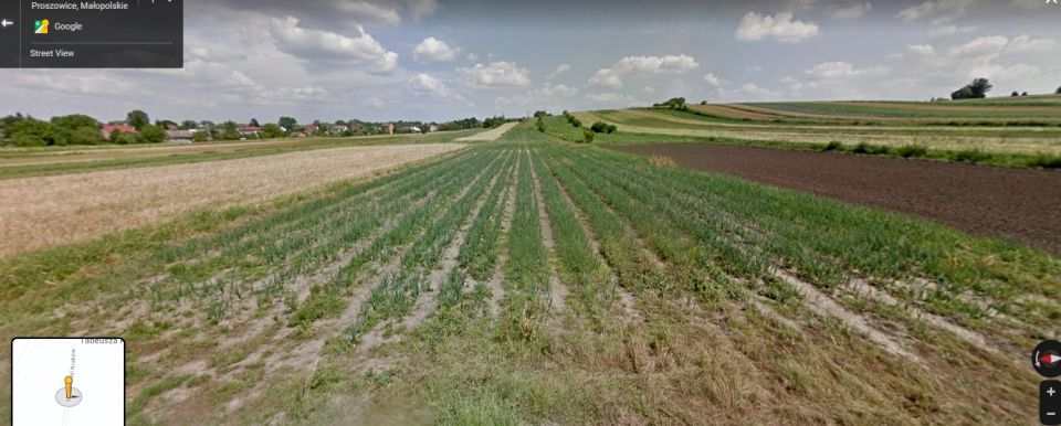 Działka budowlana Proszowice