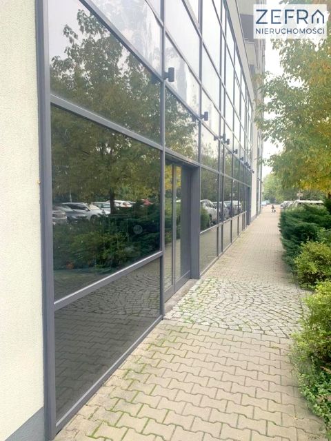 Lokal Kraków