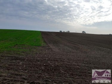 Działka rolna Zakrzewek sprzedam