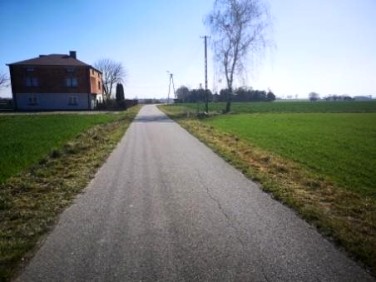 Działka Witoldów