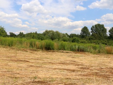 Działka budowlano-rolna Rzeszotary