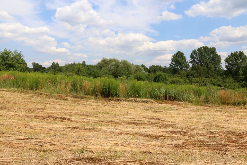 Działka budowlano-rolna Rzeszotary