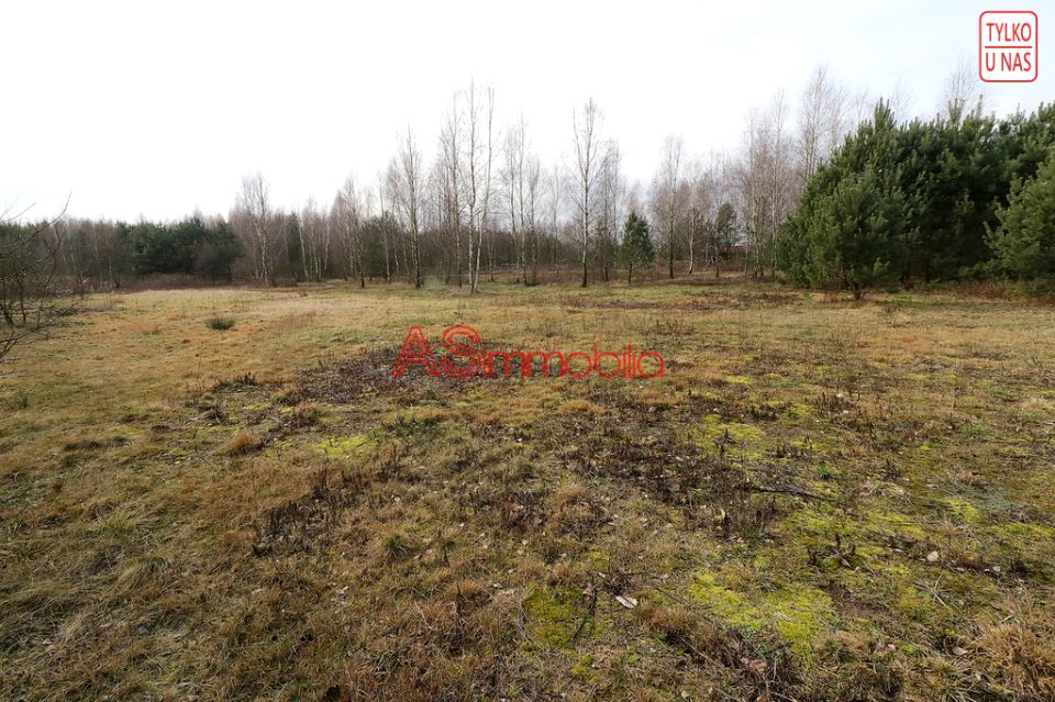 Działka nad jeziorem