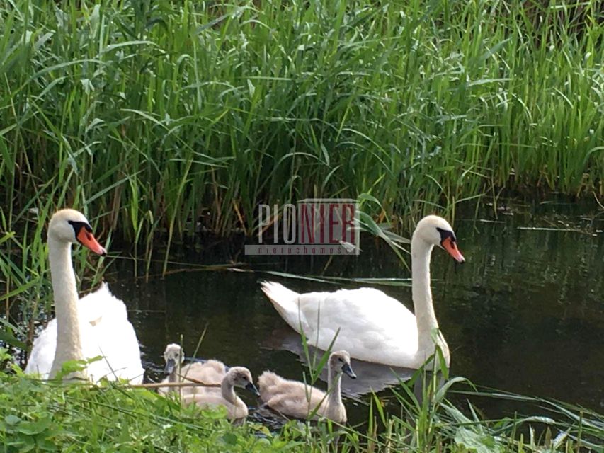 Działka leśna Szczecin