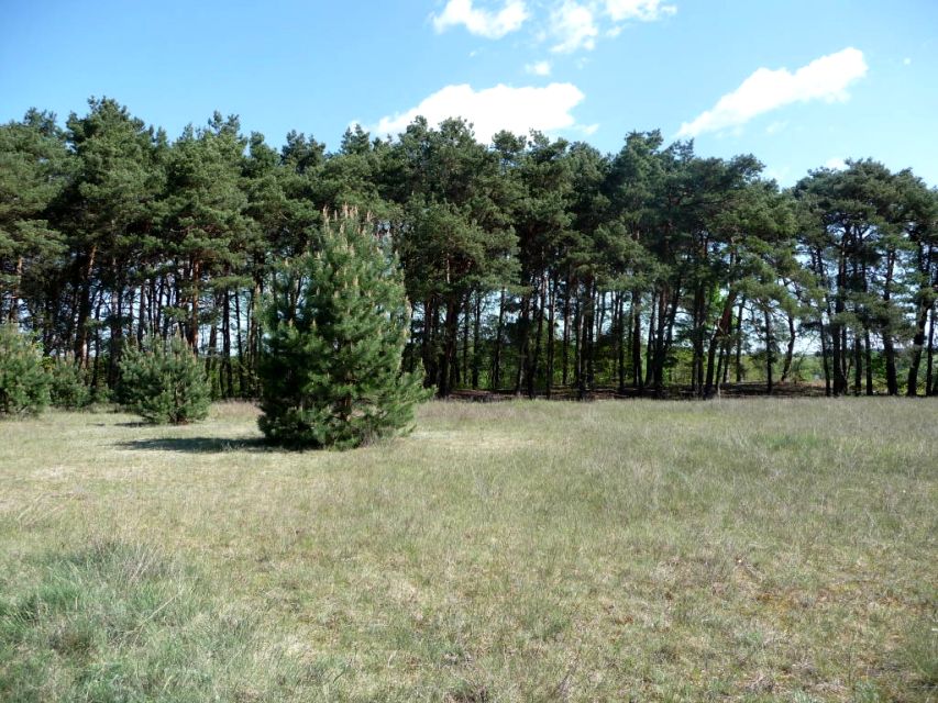 Działka budowlana Dychów