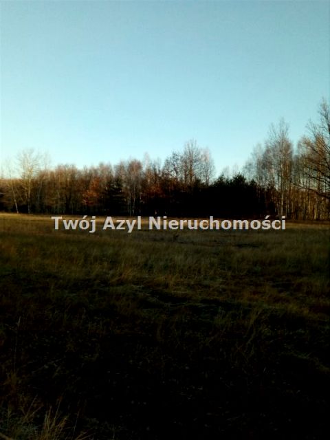 Działka siedliskowa Kluczbork
