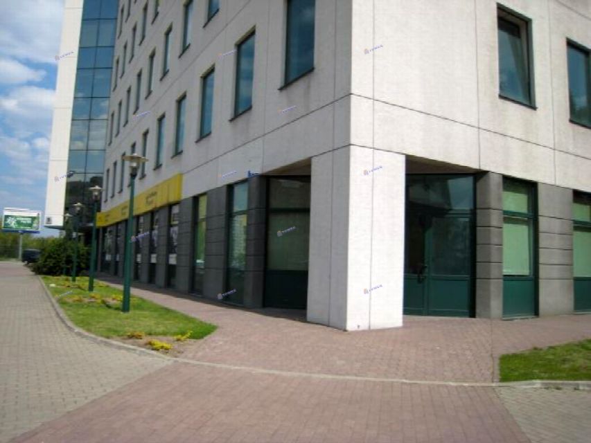 Lokal Warszawa