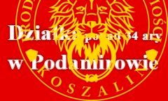 Działka rolna Dobiesławiec