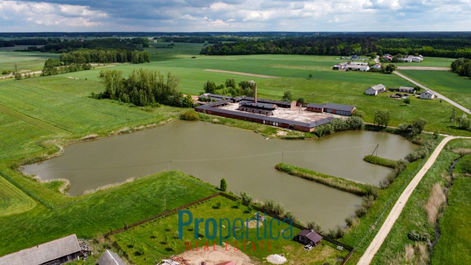 Budynek użytkowy Warszawa