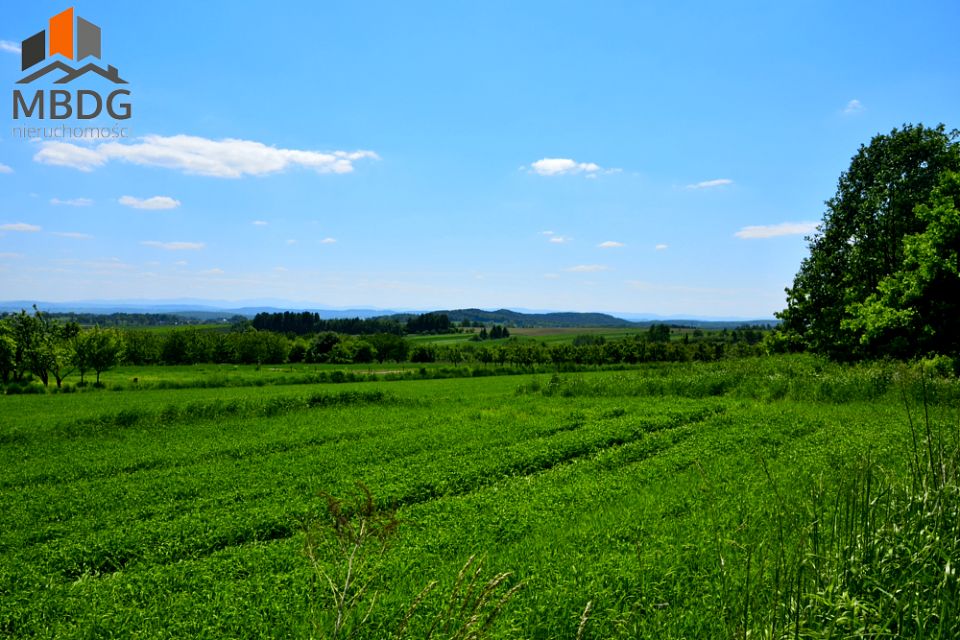 Działka rolna Czułów