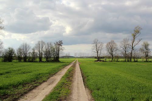 Działka rolna Smolęcin