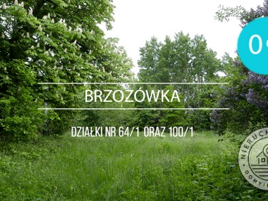 Działka siedliskowa Brzozówka