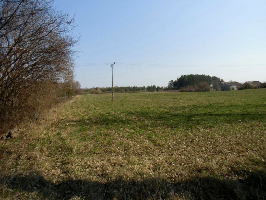 Zdjęcie 2