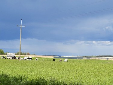 Działka rolna Jarzębowo