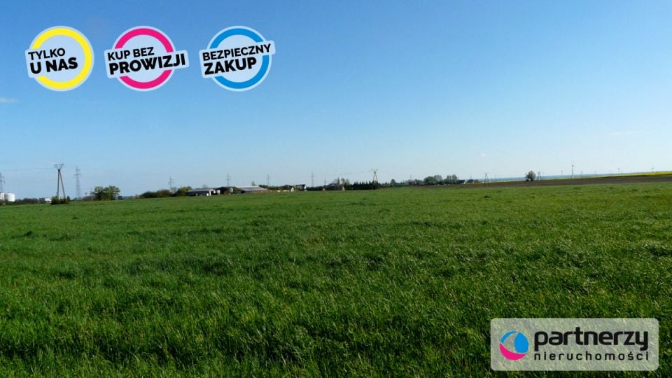 Zdjęcie 3