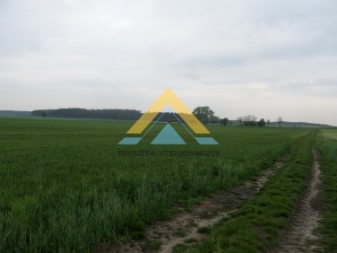 Działka siedliskowa Choszczno