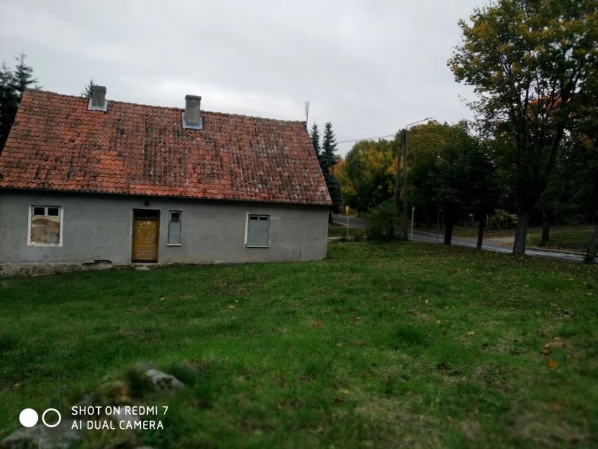 Zdjęcie 3
