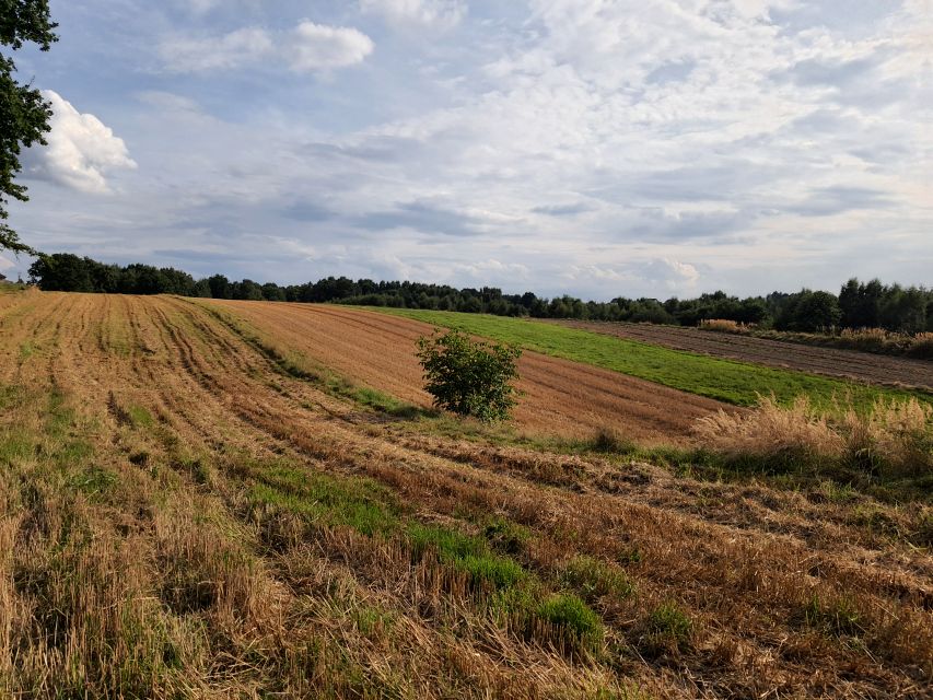 Działka budowlana Marklowice Górne