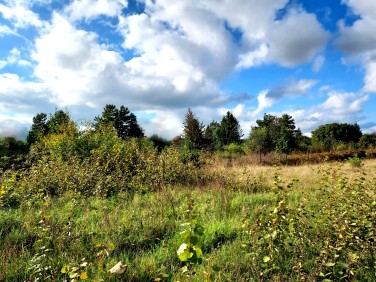 Działka budowlana Orle