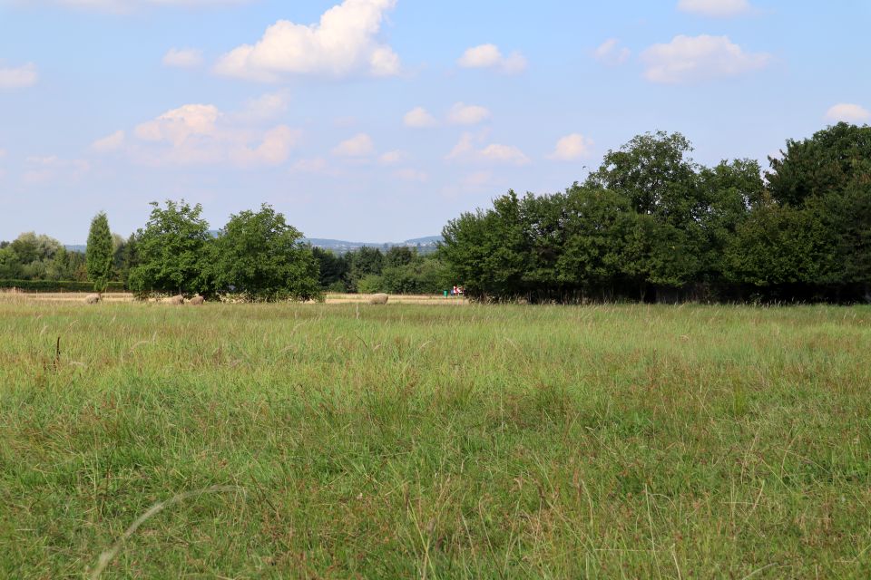 Działka budowlana Ustroń