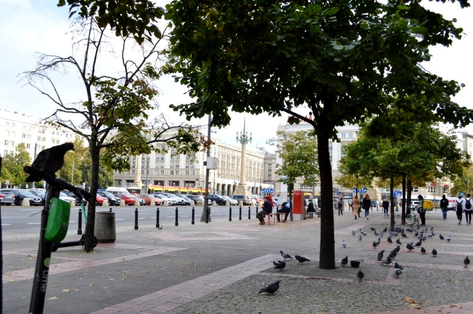 Mieszkanie Warszawa