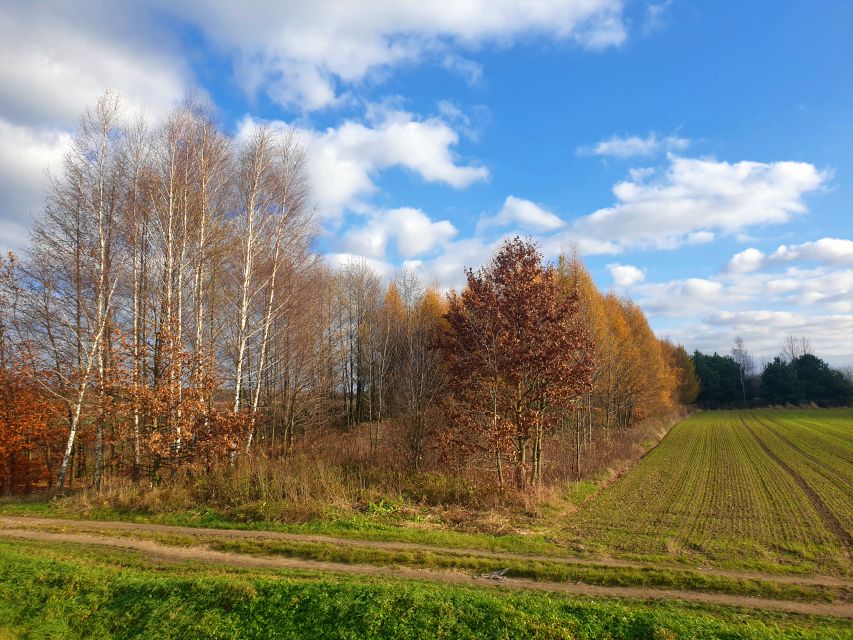Działka rolno-leśna Gorliczyna