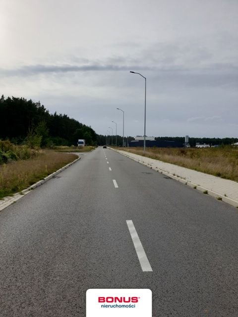 Zdjęcie 3