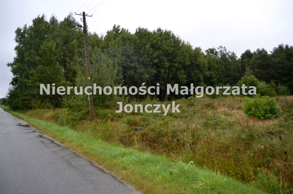 Pusta działka Grzybów