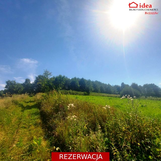 Działka rolna Witryłów