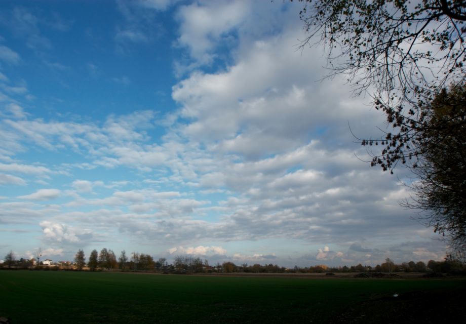 Działka inna Karczów