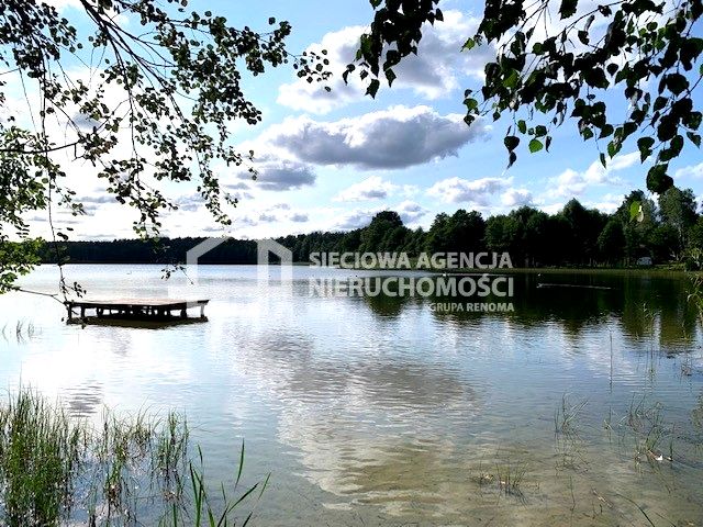 Działka leśna Kamienica Królewska