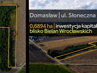 Działka siedliskowa Domasław sprzedam