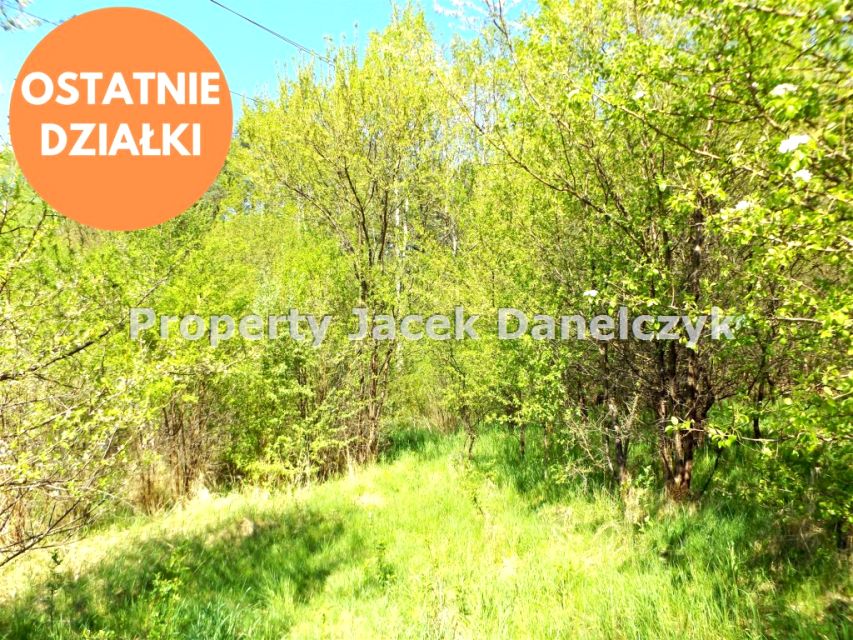 Stare jabłonki Dz. Letniskowa Blisko j.szeląg