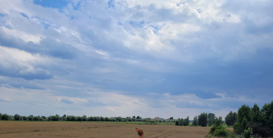 Działka siedliskowa Kobyla Kępa