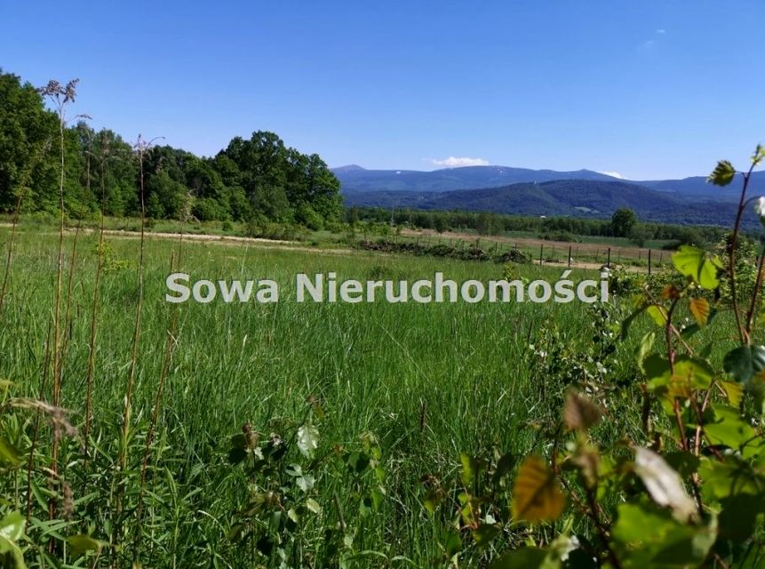 Działka rekreacyjna Wojcieszyce