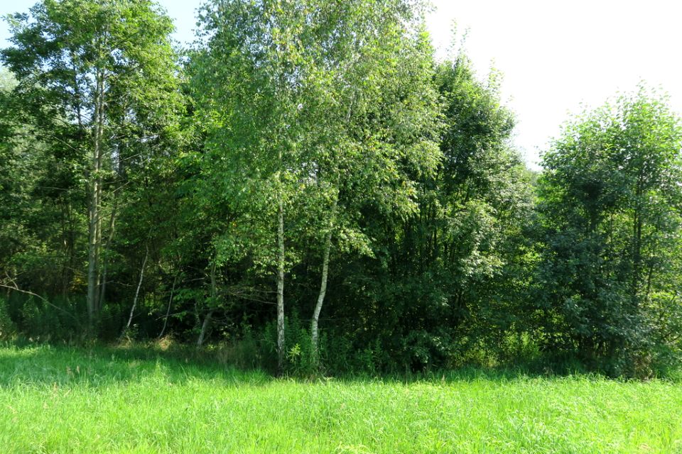 Działka budowlana Golkowice