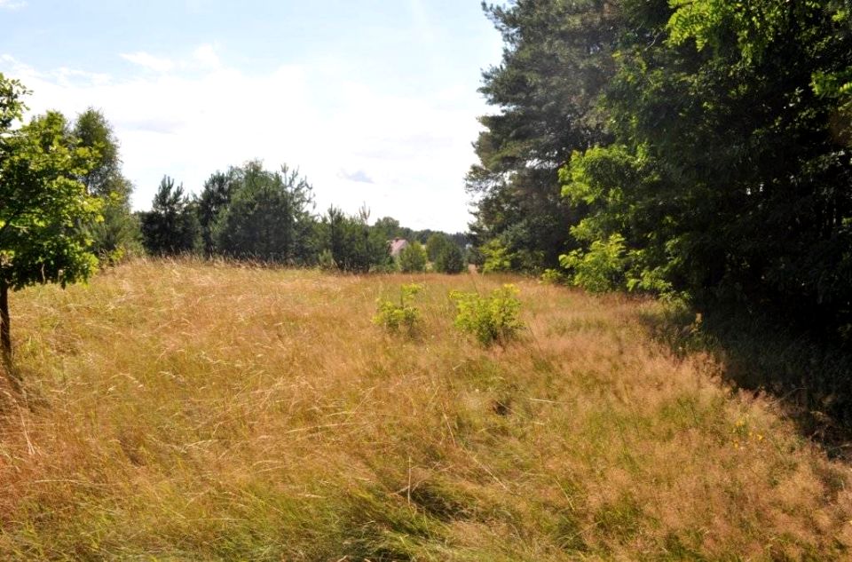 Działka budowlana Słone